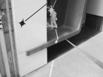http://www.aleteia.fr/files/gimgs/th-25_mamtoro-vitrine.jpg